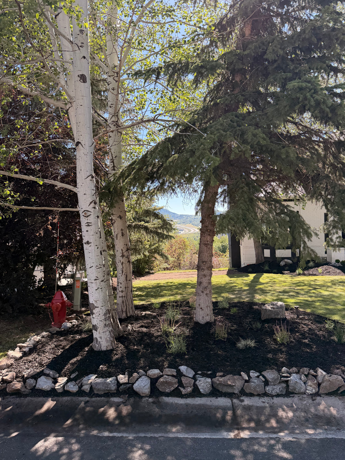 Garden bed with natural rock border, aspen trees and lawn in Park City