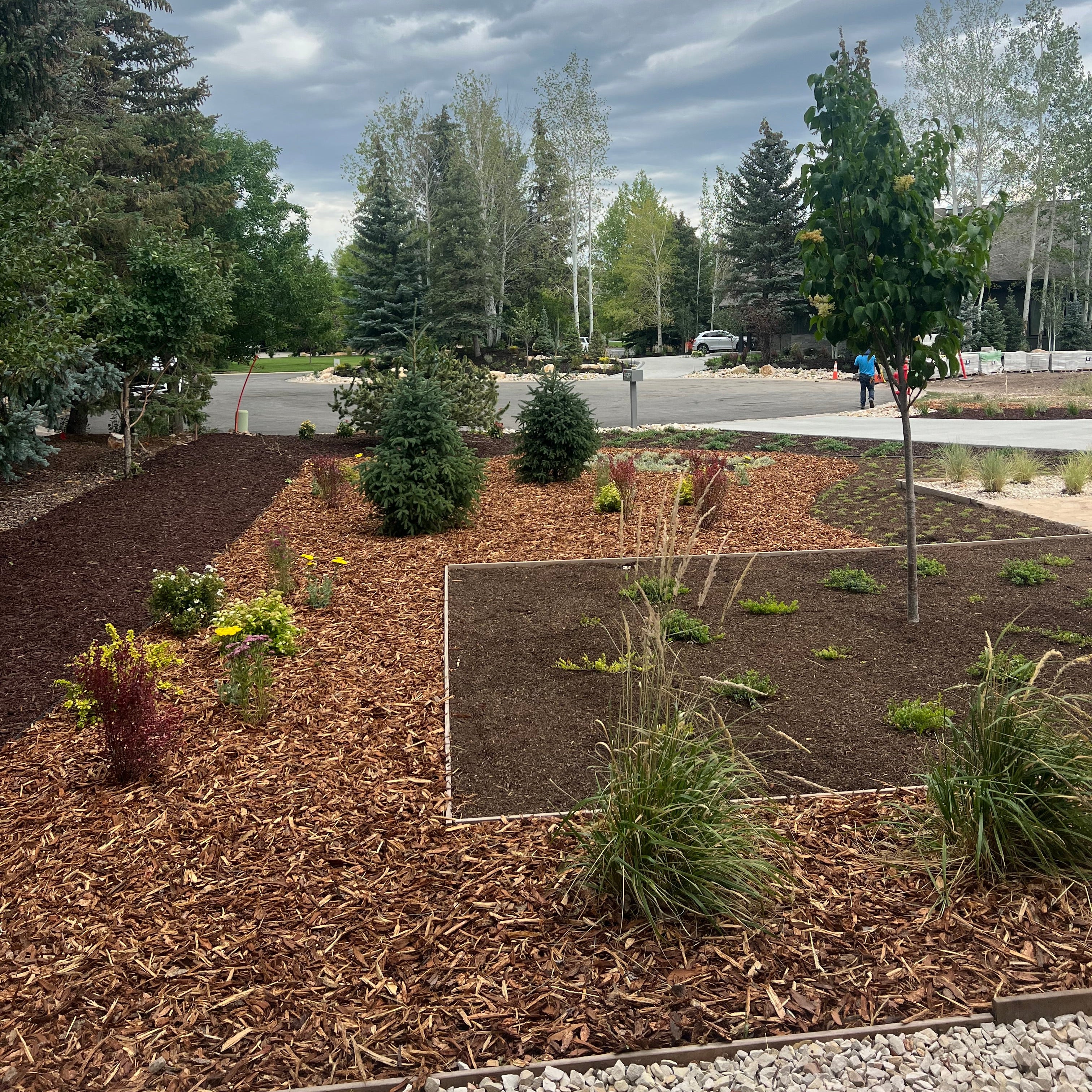 Garden with mulch and plants under a cloudy sky