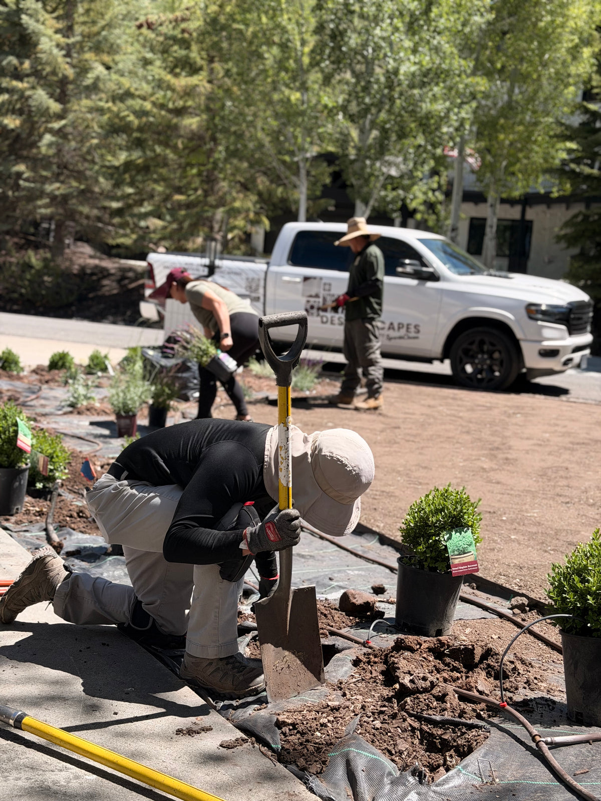 Crew planting a garden bed in Park City