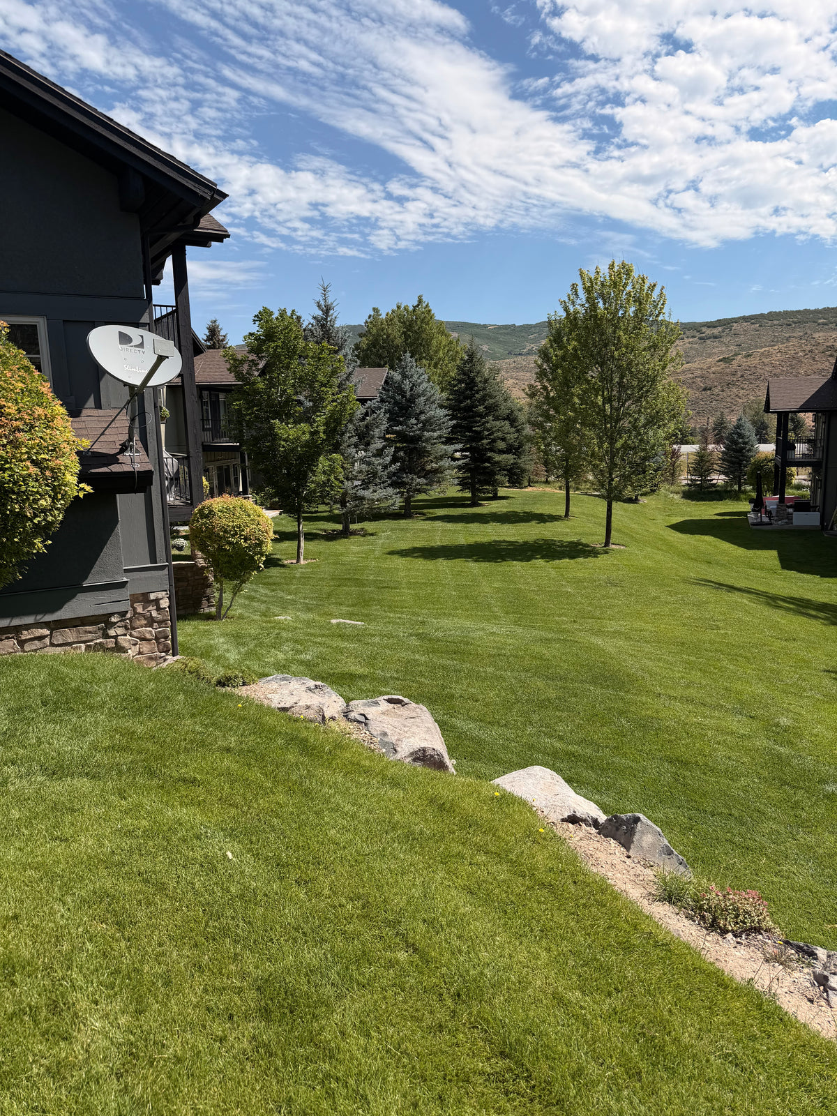 Maintained HOA common area with lawn and trees in Park City