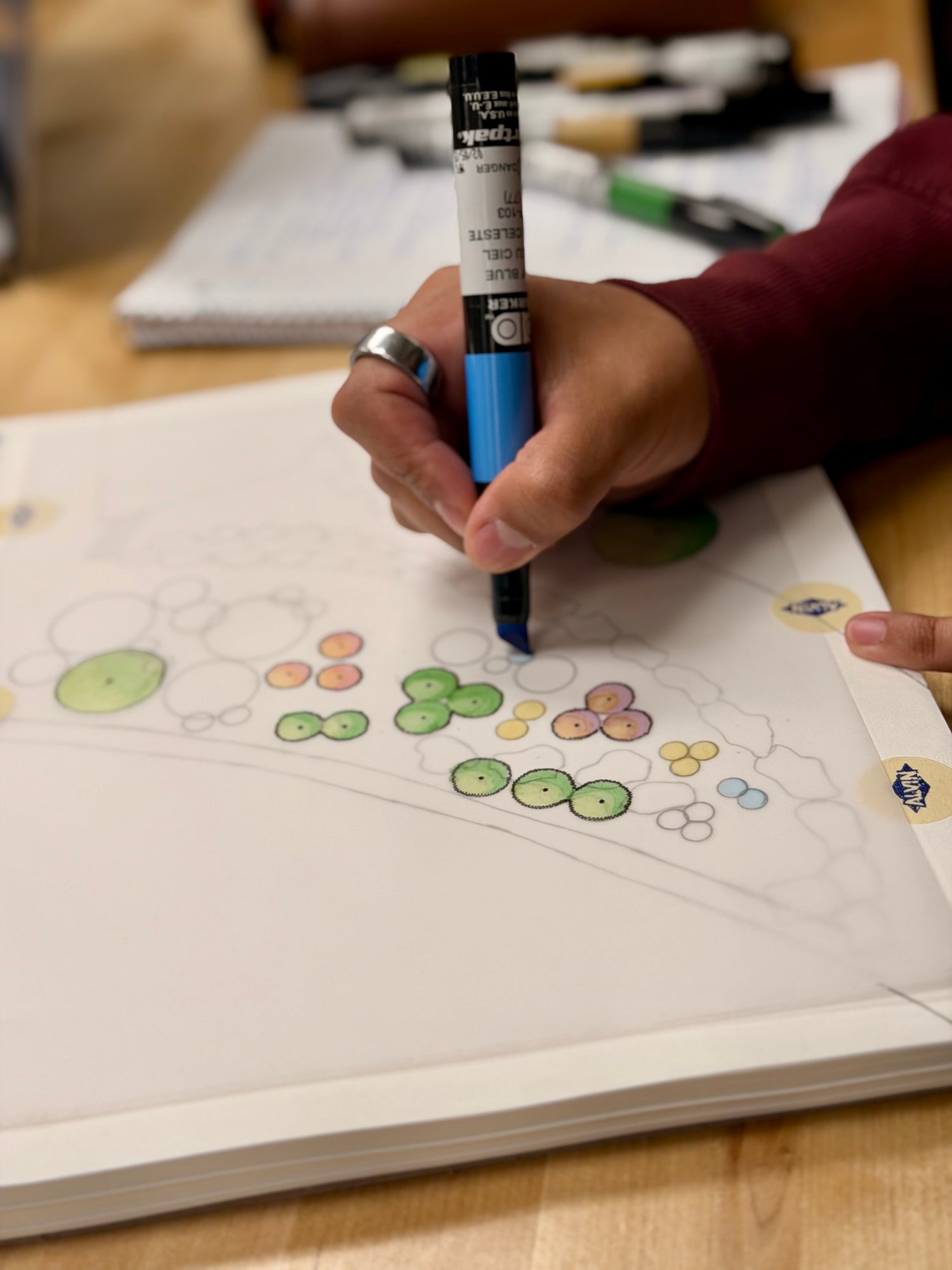 Landscape design planning process in Park City with layout, plant selection, and outdoor project planning.