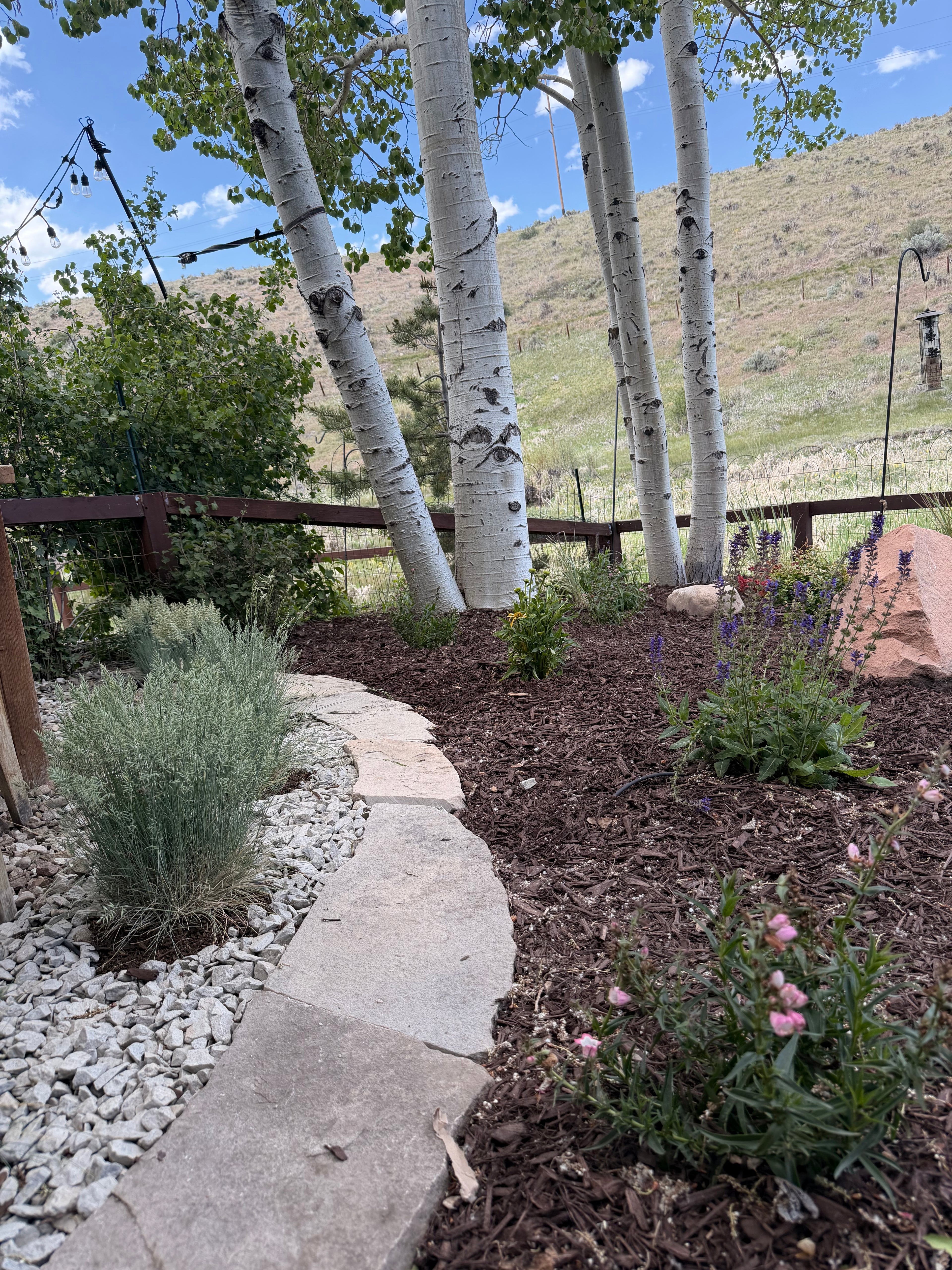 Park City landscape design with water-wise plants, natural stone path, mulch, aspens, and mountain setting.